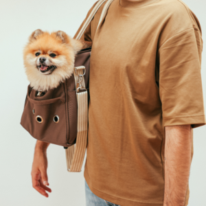 Pet carriers